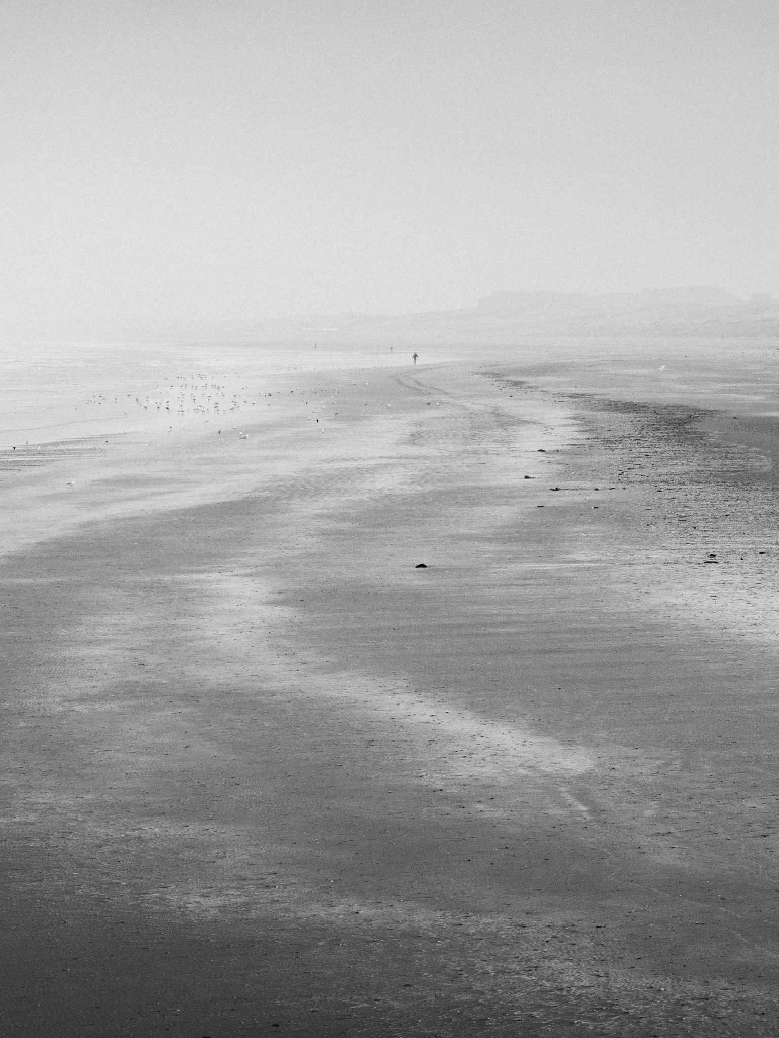 Auto-generated description: A desolate, misty beach stretches into the distance with a few scattered birds and faintly visible figures on the horizon.
